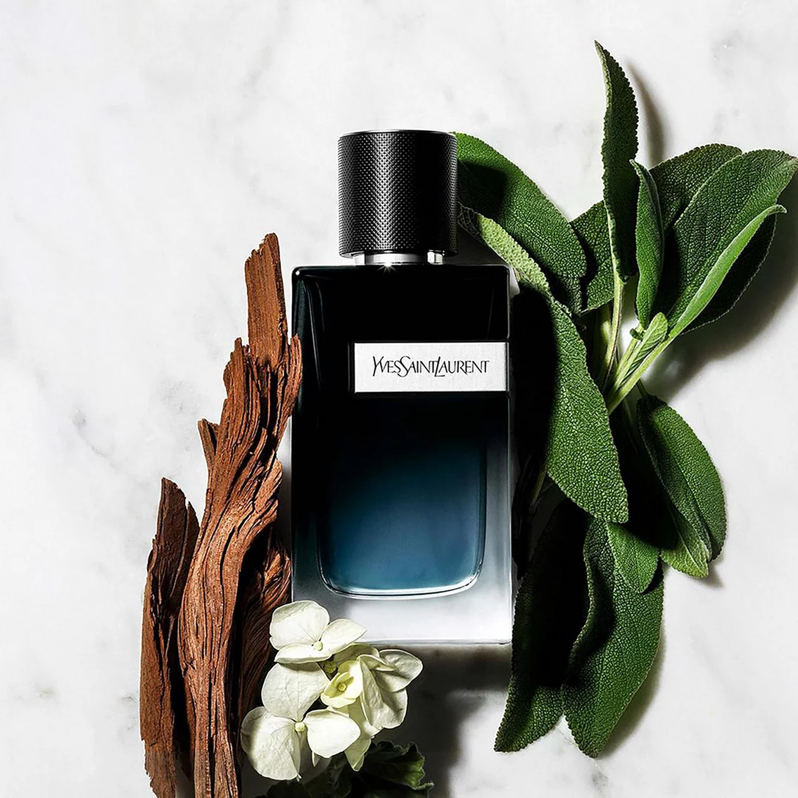 Eau de Parfum YSL*Y for men - 100ml