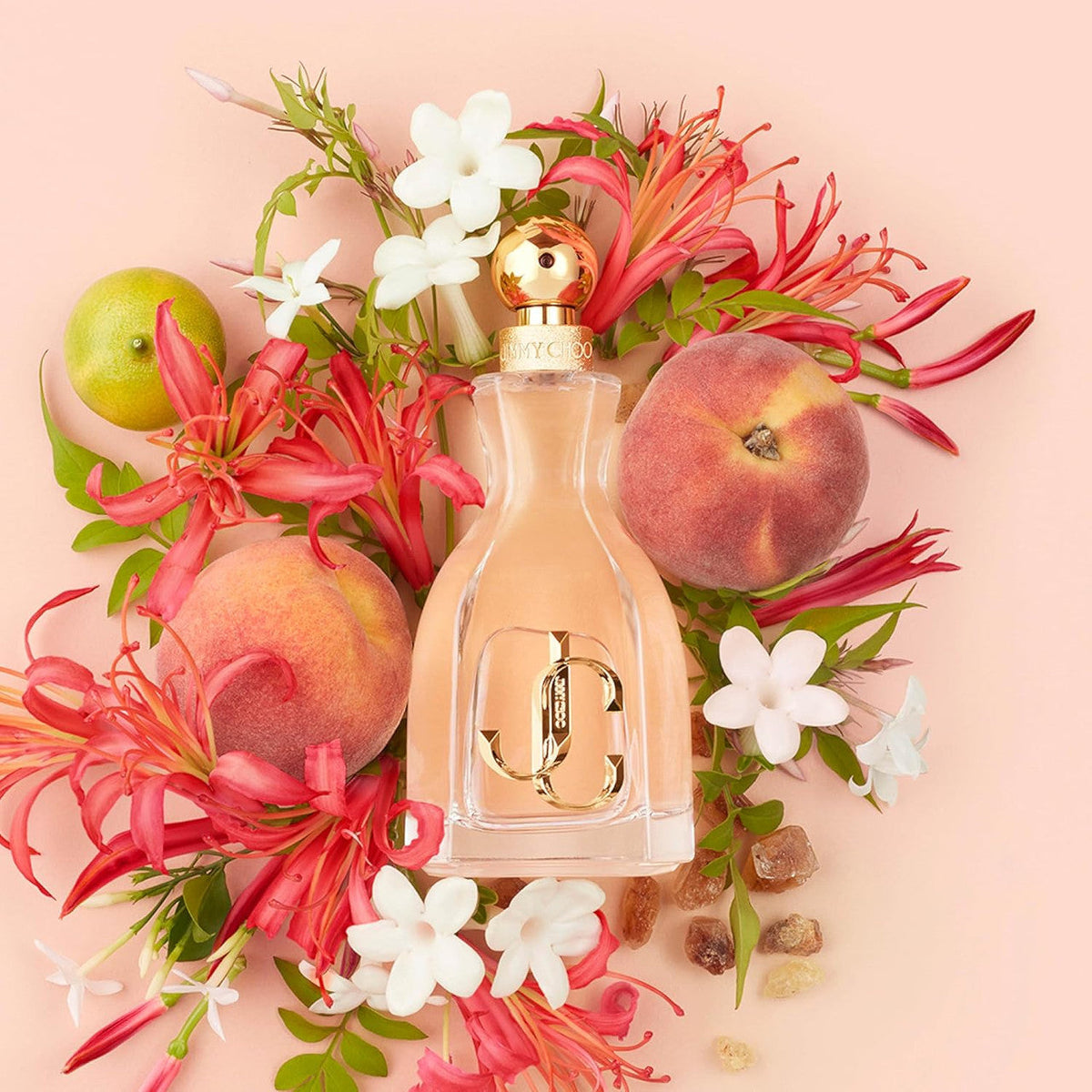 I W*nt Choo Eau De Parfum • 100ml