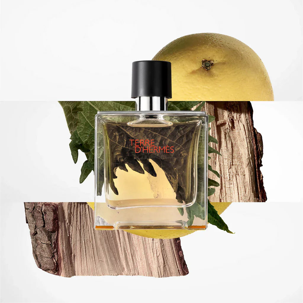 Hermes Terre D'Hermes Eau De Toilette For Men • 100ml